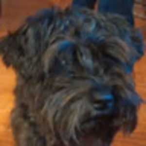 Meet your Posher, Blair